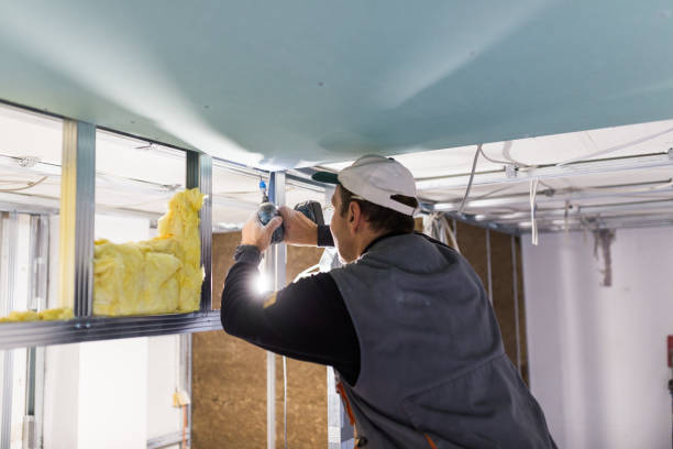 Best Types of Insulation in North Shore, CA